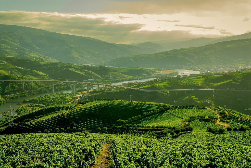 Quinta Do Vallado - Douro Wine Hotel Peso da Régua Zewnętrze zdjęcie