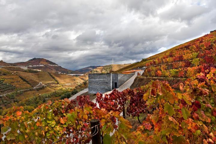 Quinta Do Vallado - Douro Wine Hotel Peso da Régua Zewnętrze zdjęcie